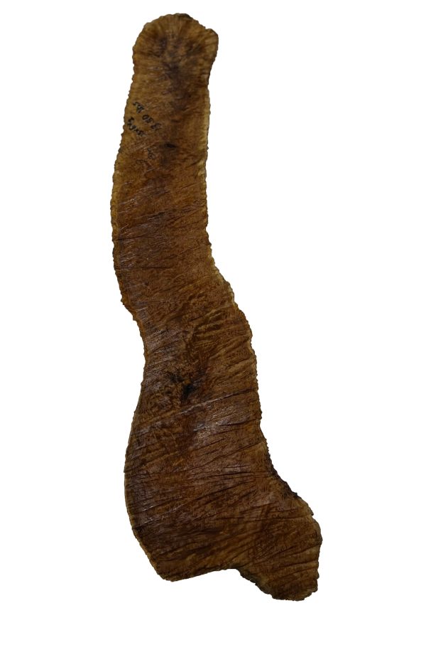 Brown Mallee Burl Cookies | 33  x 6  x 2  | 13.5 lbs | #781 Hot on Sale - Image 4