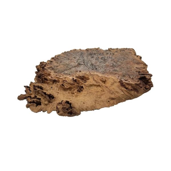 Red Gum Burl Cookies Slabs 11  x 15  x 1-1 2  | 8.15 lbs | #24 Online - Image 3