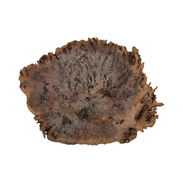 Red Gum Burl Cookies Slabs 11  x 15  x 1-1 2  | 8.15 lbs | #24 Online - Image 4