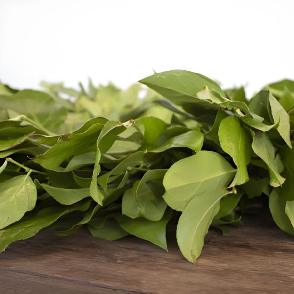 Fresh Salal Greenery Wreaths For Discount - Image 3