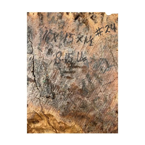 Red Gum Burl Cookies Slabs 11  x 15  x 1-1 2  | 8.15 lbs | #24 Online - Image 2