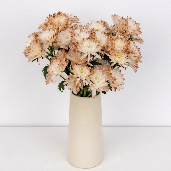 Mocha Mousse Enhanced Pom Flower For Discount - Image 3