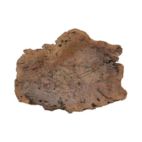 Red Gum Burl Cookies Slabs 18  x 14 x 1-1 2  | 9.25 lbs | #27 For Cheap - Image 4