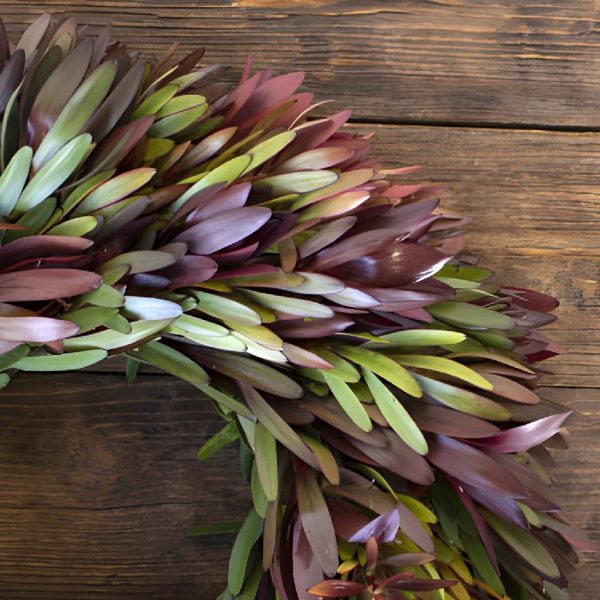 Safari Sunset Wreaths on Sale - Image 2